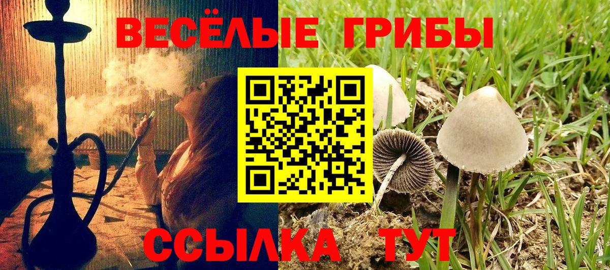 Псилоцибиновые грибы мицелий  купить  сайты  Тимашёвск  Вход с VPN 